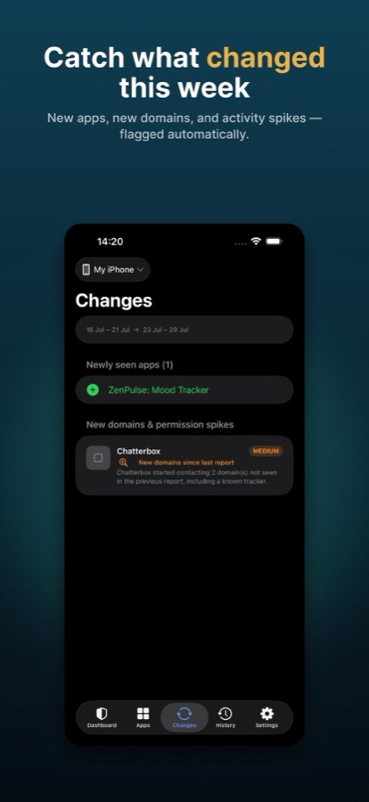 Changes view showing a newly seen app and new domains, using sample data